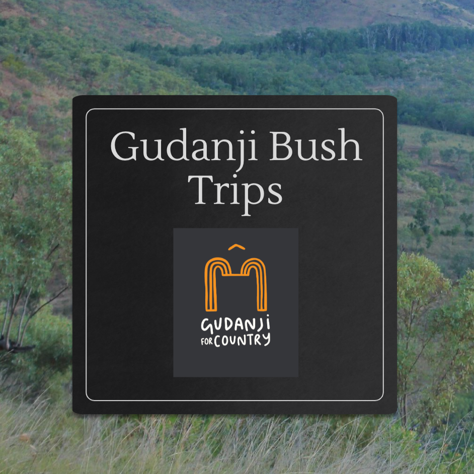 Gudanji Bush Trip